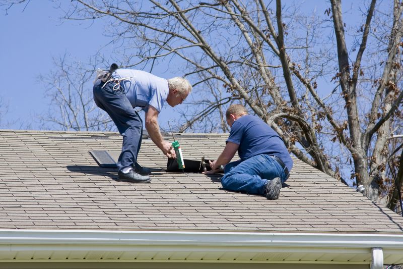 Roof Inspection and Maintenance